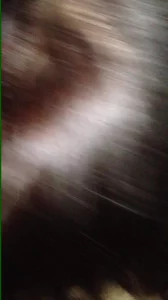 熟女骚阿姨吃大牛子