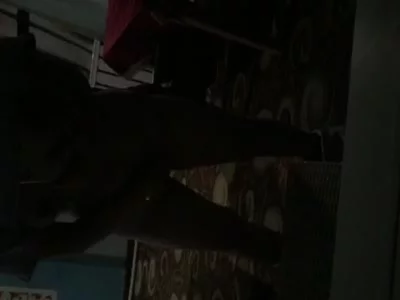 黄蓉的后传小说